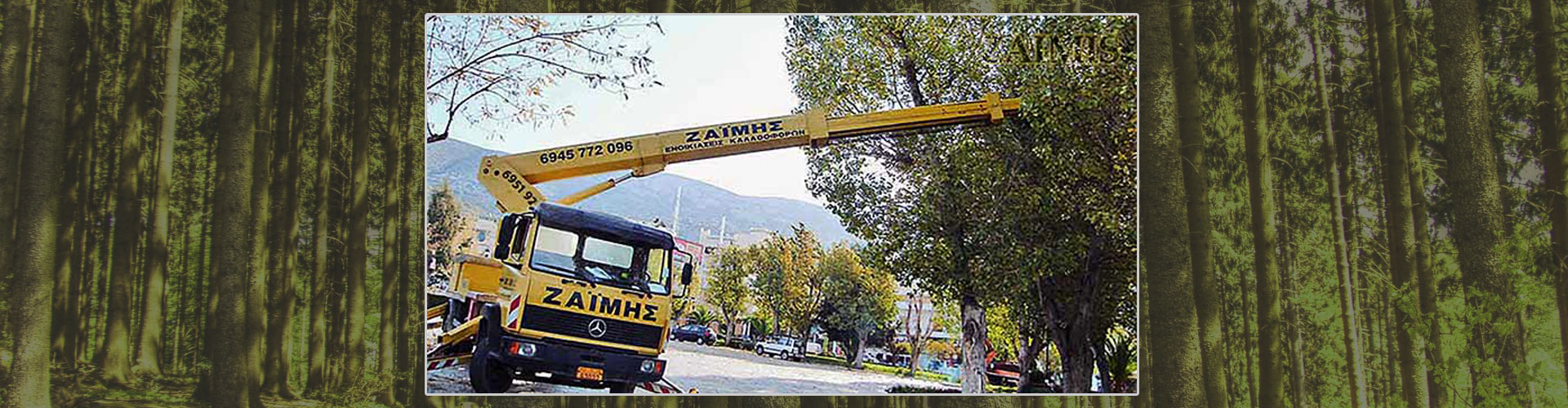 Ψέκασμα δέντρων