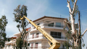 ΖΑΪΜΗΣ ΚΑΛΑΘΟΦΟΡΑ ΑΝΥΨΩΤΙΚΑ ΓΕΡΑΝΟΙ