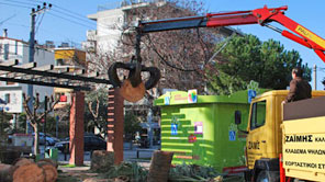 ΖΑΪΜΗΣ ΚΑΛΑΘΟΦΟΡΑ ΑΝΥΨΩΤΙΚΑ ΓΕΡΑΝΟΙ